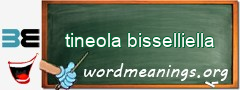 WordMeaning blackboard for tineola bisselliella